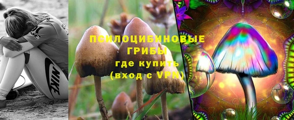 ECSTASY Яранск